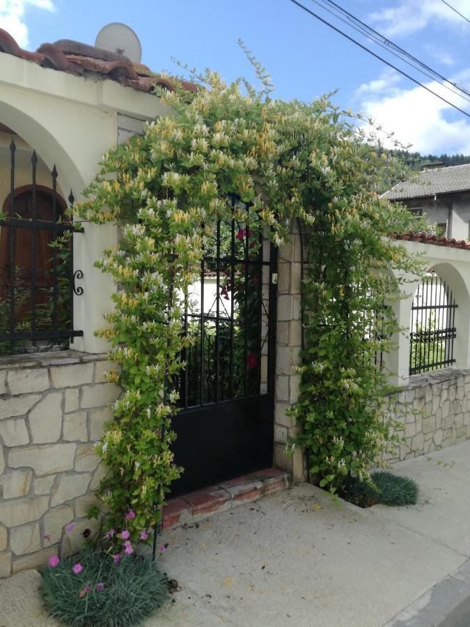 Guest House Benita Devin Exteriér fotografie