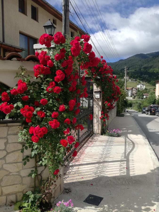 Guest House Benita Devin Exteriér fotografie