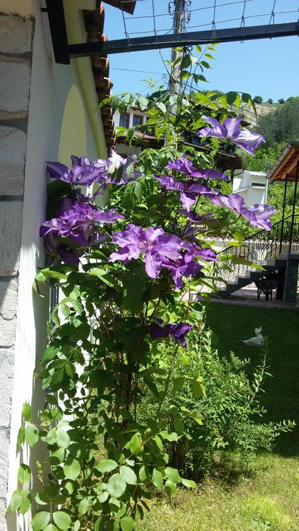 Guest House Benita Devin Exteriér fotografie